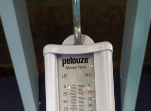 Scale2