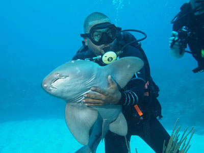 Man with Shark