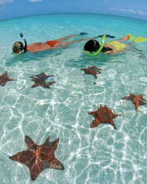 T&C Snorkeling